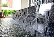 _DSC4784.jpg #6