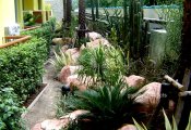DSC06432.jpg #11