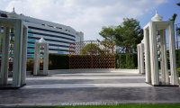 DSC00322.jpg #8
