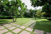 _DSC7006.jpg #11