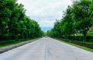 _DSC7087.jpg #12