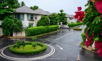 _DSC7696.jpg #7