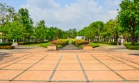 _DSC2307.jpg #1