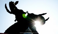 _DSC5326.jpg #3