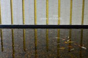 _DSC9305.jpg #6