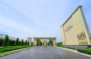 _DSC0230.jpg #1