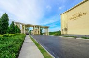 _DSC0337.jpg #2