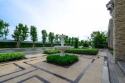 _DSC0304.jpg #8
